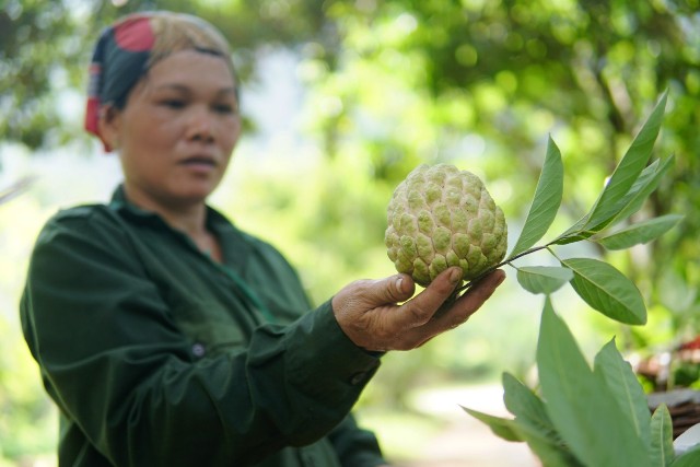 Na sạch núi mặt quỷ là một địa danh độc đáo của Việt Nam, với khung cảnh hoang sơ, đại ngàn rừng thông và nền văn hóa phong phú. Hãy cùng chiêm ngưỡng những hình ảnh đẹp và tìm hiểu về thành phố cổ Na Sầm và mặt quỷ đáng sợ của nó.