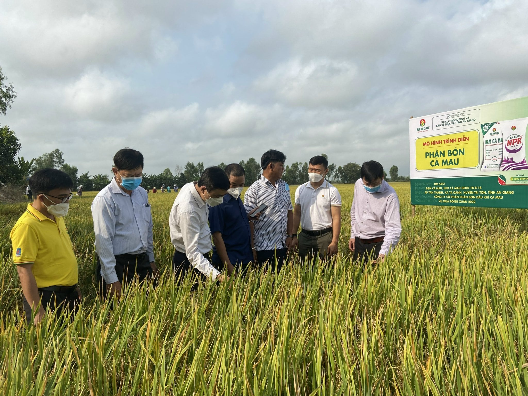 Ca Mau NPK: Efforts to Accompany Vietnamese Farmers - Phân bón Cà Mau